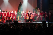 Enlarge photo 483