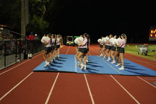 Enlarge photo 73