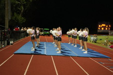 Enlarge photo 95