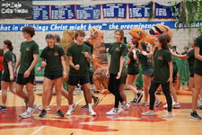 Enlarge photo 43