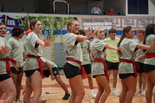 Enlarge photo 262