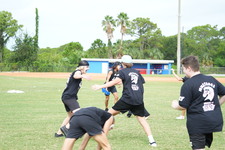 Enlarge photo 331