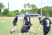 Enlarge photo 333