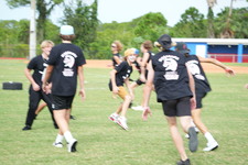 Enlarge photo 337