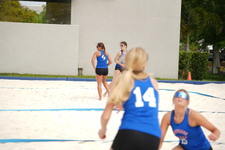 Enlarge photo 127