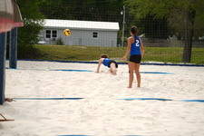 Enlarge photo 215