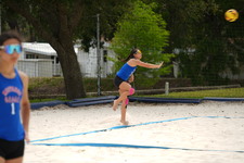 Enlarge photo 260