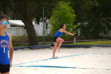 Enlarge photo 261