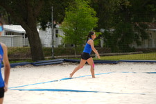 Enlarge photo 264