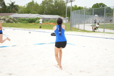 Enlarge photo 336