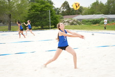 Enlarge photo 342