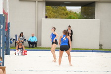 Enlarge photo 379
