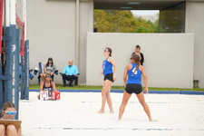 Enlarge photo 380