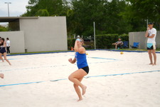Enlarge photo 533