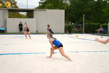 Enlarge photo 534