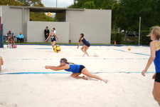 Enlarge photo 537