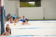 Enlarge photo 783