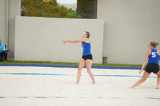 Enlarge photo 1298