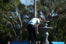 Enlarge photo 860