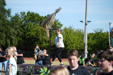 Enlarge photo 640