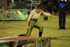 Enlarge photo 32