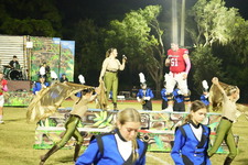 Enlarge photo 461