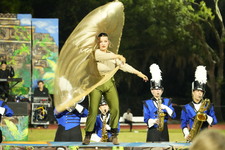 Enlarge photo 497