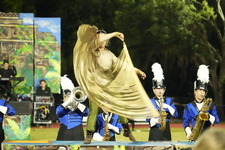 Enlarge photo 496