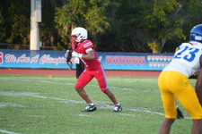 Enlarge photo 17
