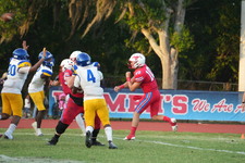 Enlarge photo 24