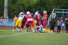 Enlarge photo 43