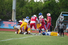 Enlarge photo 47