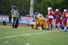Enlarge photo 48