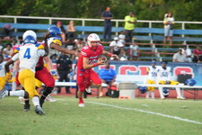 Enlarge photo 57