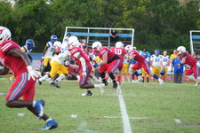 Enlarge photo 62