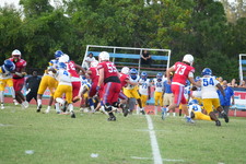 Enlarge photo 68