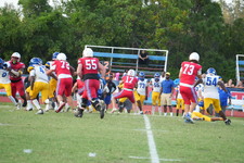 Enlarge photo 70