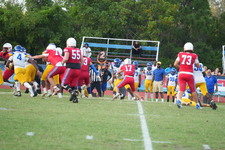 Enlarge photo 72