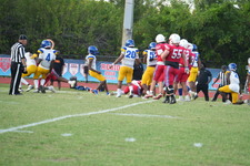 Enlarge photo 73