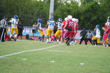 Enlarge photo 74