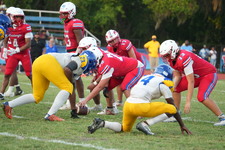 Enlarge photo 97