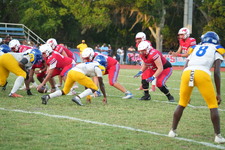 Enlarge photo 102
