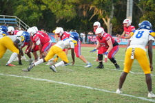 Enlarge photo 103
