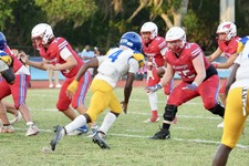 Enlarge photo 105