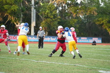 Enlarge photo 108