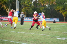 Enlarge photo 110