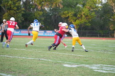 Enlarge photo 113