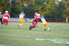 Enlarge photo 114