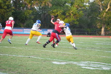 Enlarge photo 115