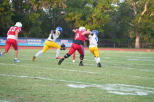 Enlarge photo 116